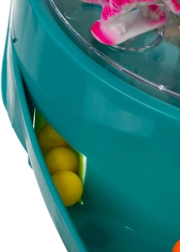 Saugiai uždara arena su skaidriu dangčiu