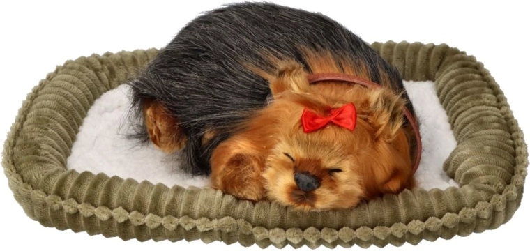 Lengva priežiūra, džiaugsmas be rūpesčių