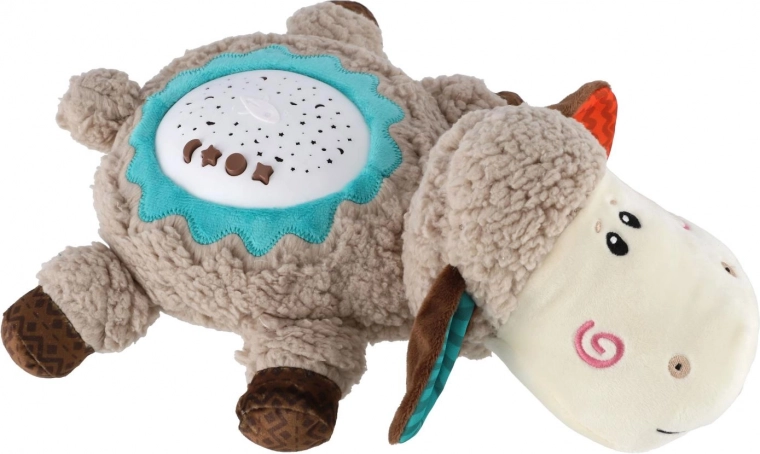 Raminanti žvaigždžių projekcija