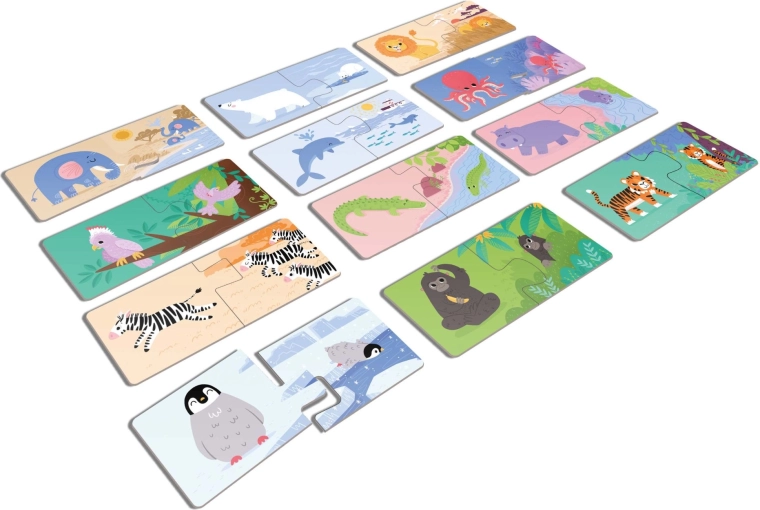 Spalvingos 12 gyvūnų iliustracijos