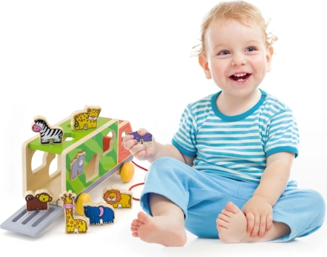 Motorikos ir koordinacijos lavinimas