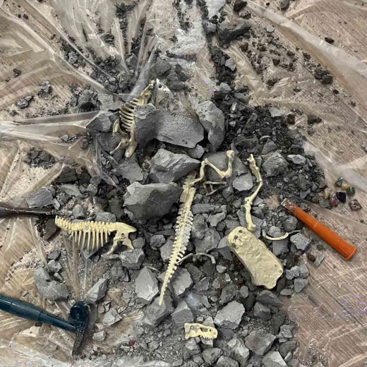 Archaeological dinosaur excavation