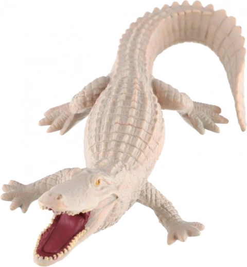 Edukacinė vertė apie retą spalvinimą