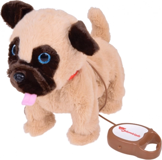 Pavadėlis su mygtukais interaktyviam valdymui