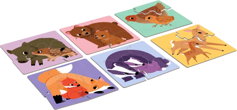 Žavios šešių šeimynų iliustracijos