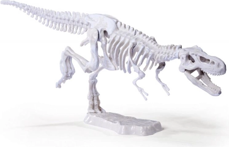Detalūs dinozaurų modeliai