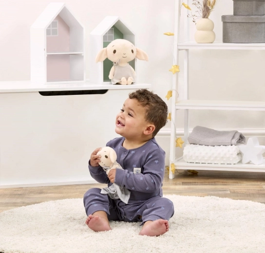 Mėgstamas motyvas iš Hario Poterio