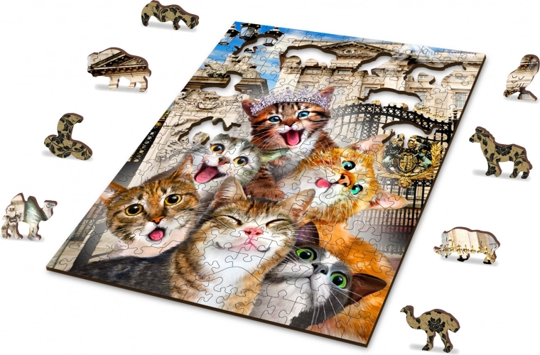 Double-sided Puzzle 2-in-1