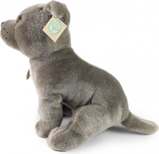 Draugiškas aplinkai užpildas