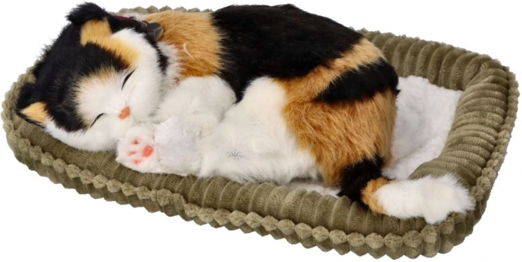 Realistiškas kvėpavimas ir raminantis miegas