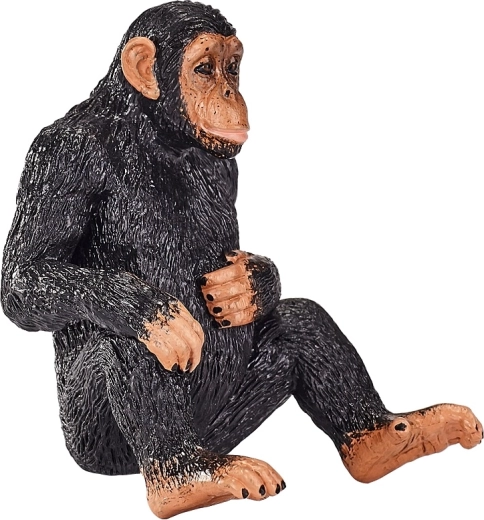 Švietėjiška vertė