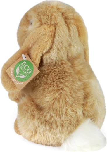 Realistiškas ir žavus dizainas