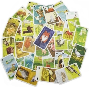 33 kokybiškos kortos