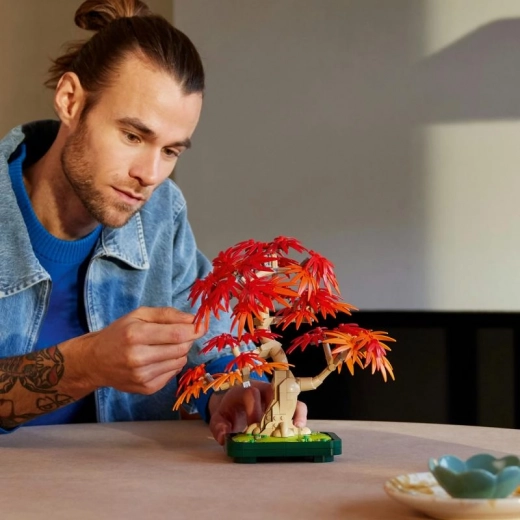 Kūrybiškas šakų formavimas