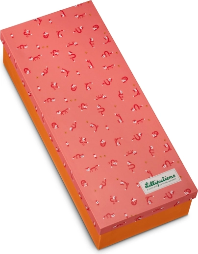 Graži dovanų dėžutė