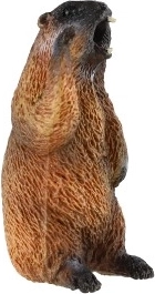 Edukacinis ir dekoratyvinis panaudojimas