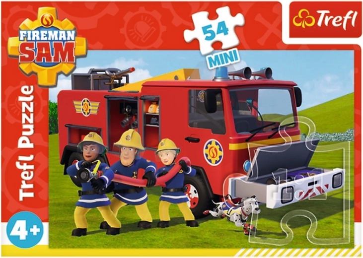 54 dalys sumanioms galvutėms