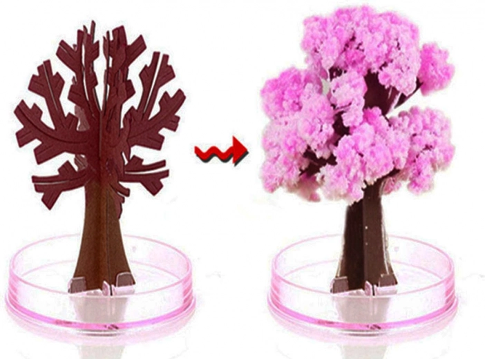 Akimirksniu pražystantis stebuklas