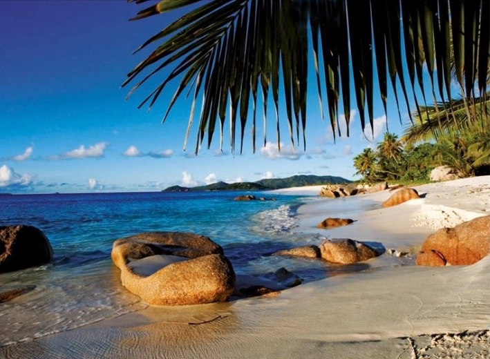 Tropical scene