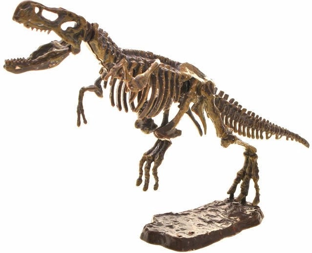 Surenkamas T‑Rex 3D skeletas