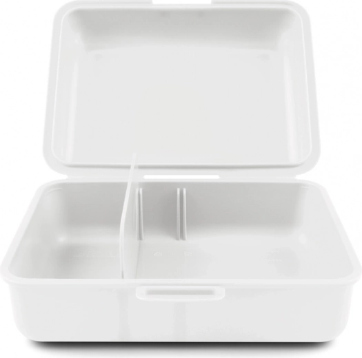 Paprasta organizacija