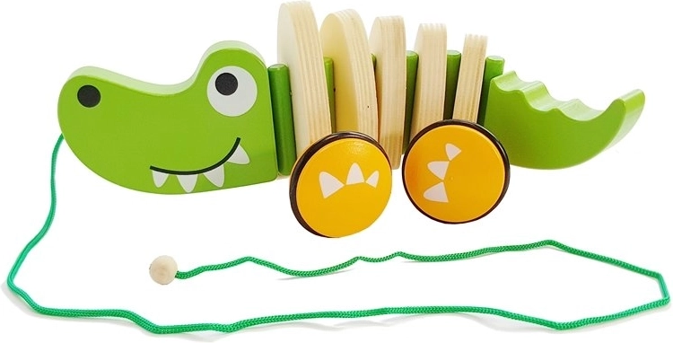 Koordinacijos ir pirmųjų žingsnių palaikymas