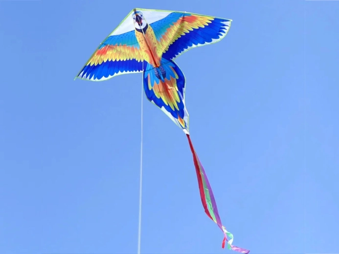 Stabilus skrydis su ilga uodega