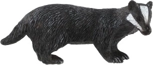 Būdingieji barsuko požymiai