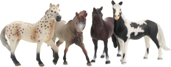 Keturi skirtingų spalvų arkliai