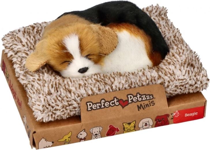 Kompaktiška ir dovaninė pakuotė