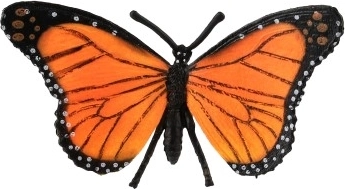 Realistiškos spalvos ir sparnų raštas