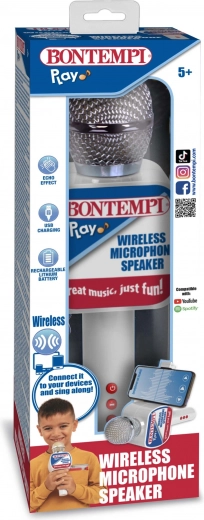 Integruotas garsiakalbis ir aido efektas