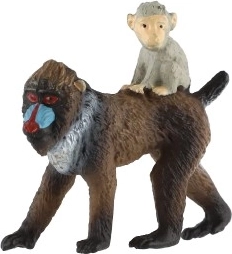 Patelė su jaunikliu ant nugaros