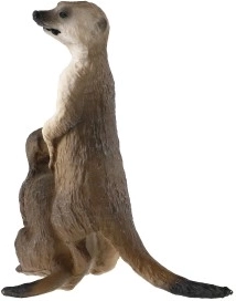 Kompaktiškas 8 cm dydis