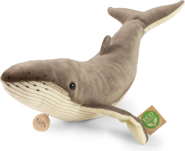 Draugiškas aplinkai dizainas