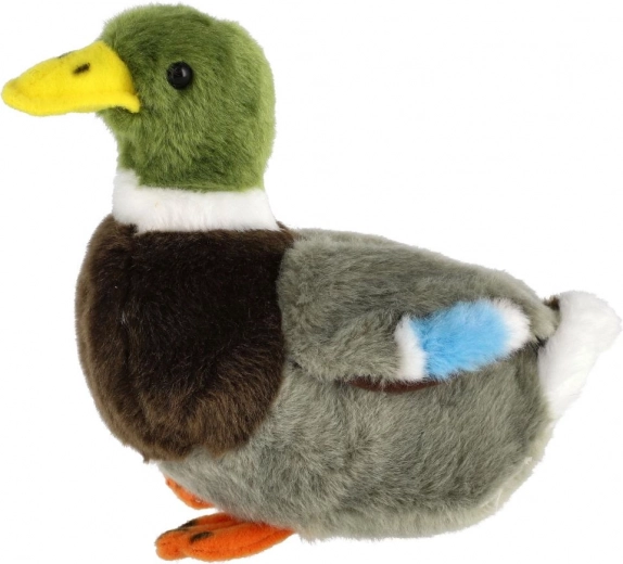 Švelnus ir saugus nuo pirmos dienos