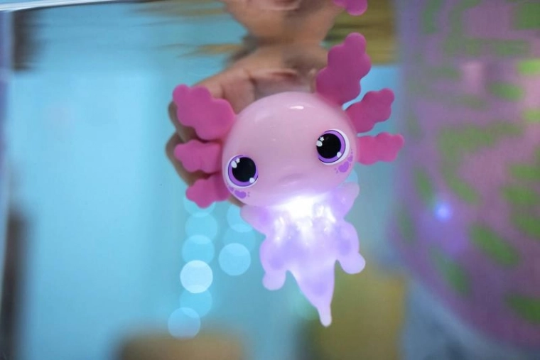 Magiška šviesa vandenyje