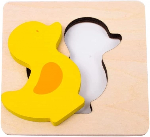 Tinka regos sutrikimų turintiems