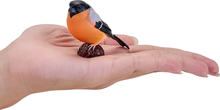 Kompaktiškas dydis žaidimui ir mokymuisi