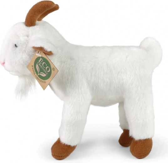 Realistiškas dizainas