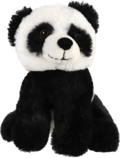 Saugus dizainas nuo gimimo