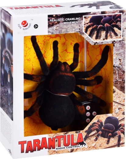 Didelis formatas maksimaliai įtaigai