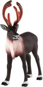 Stabili stovėsena ir universalus panaudojimas