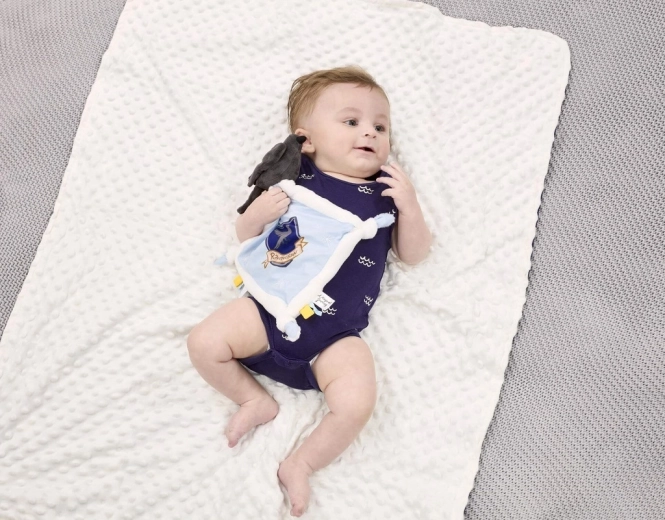 Varno Nago herbas mažiesiems gerbėjams