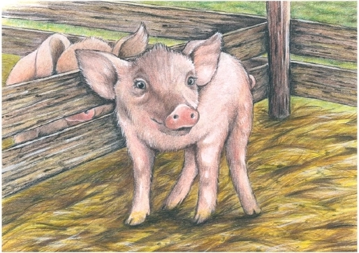 Mėgstamas paršiuko motyvas