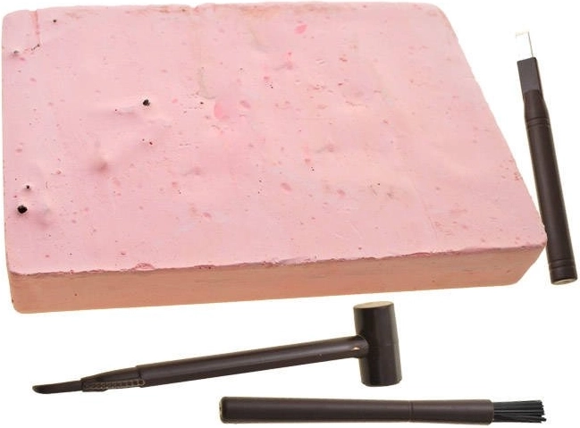 Atskleiskite kaulus kaip tikras paleontologas