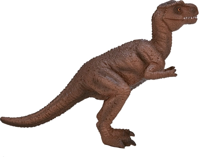 Pažintinė ir žaisminga