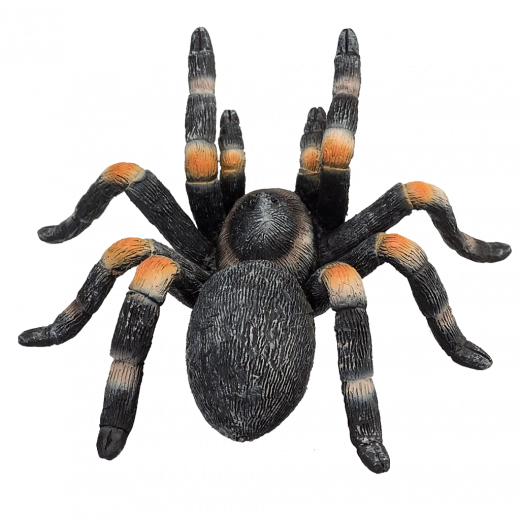 Patvari ir saugi konstrukcija