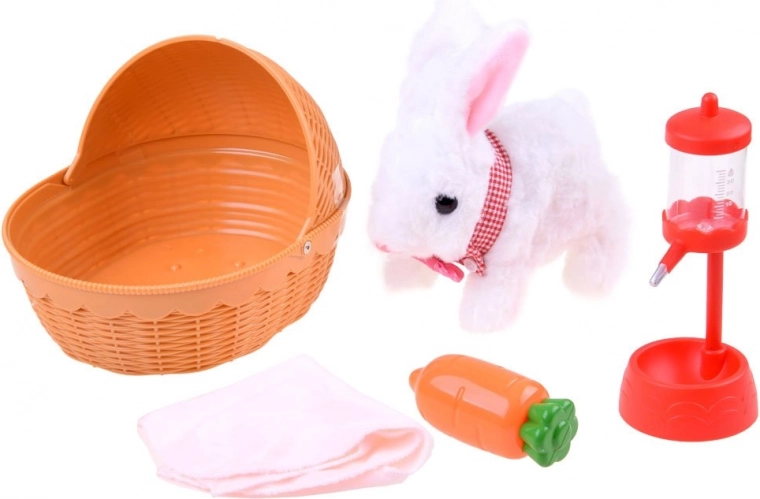 Viskas augintinio priežiūrai viename rinkinyje