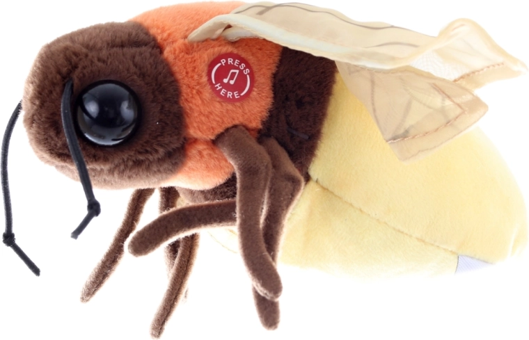 Magiška šviesa paspaudus mygtuką